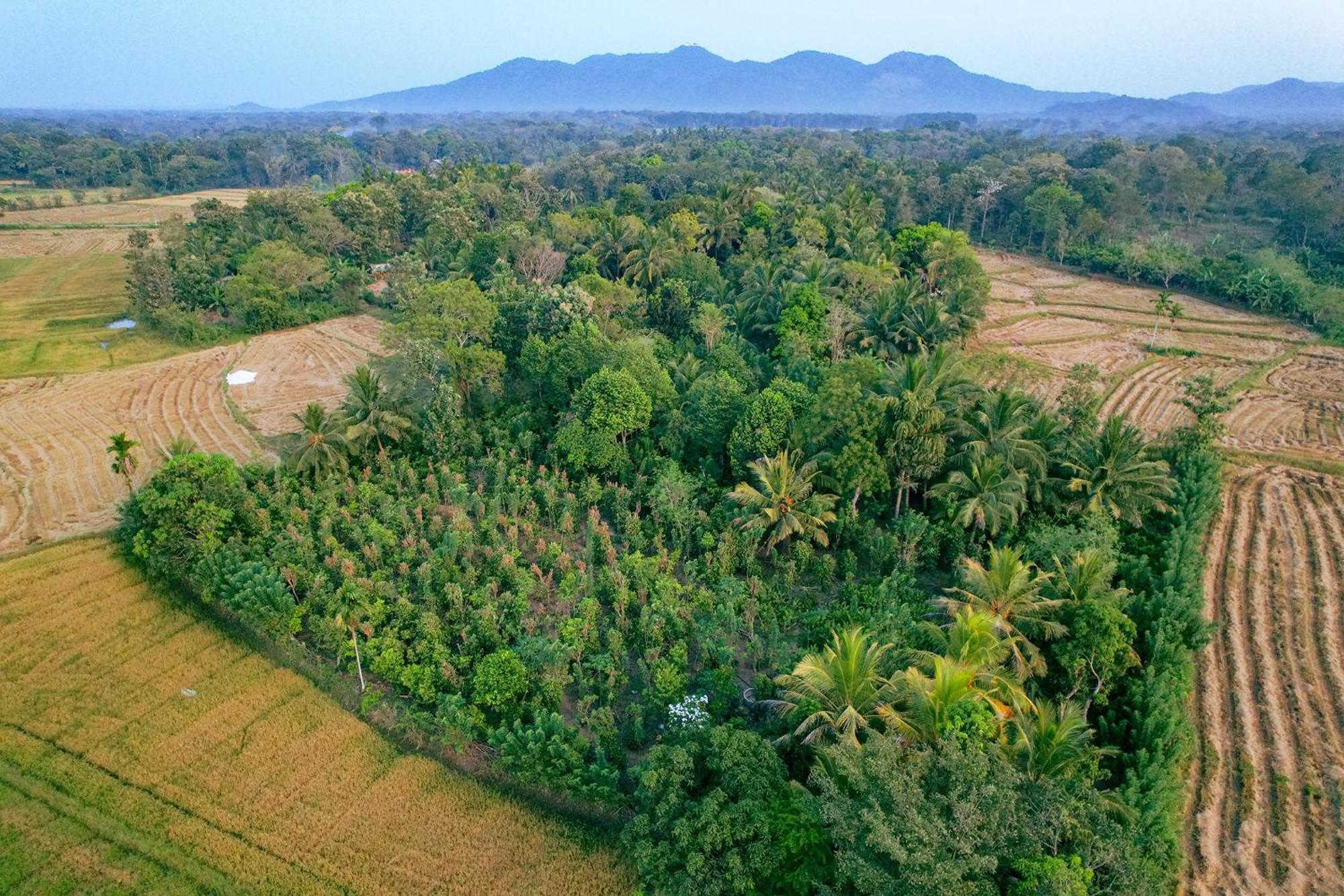 Mailagama Cinnamon Residence Kataragama Bagian luar foto