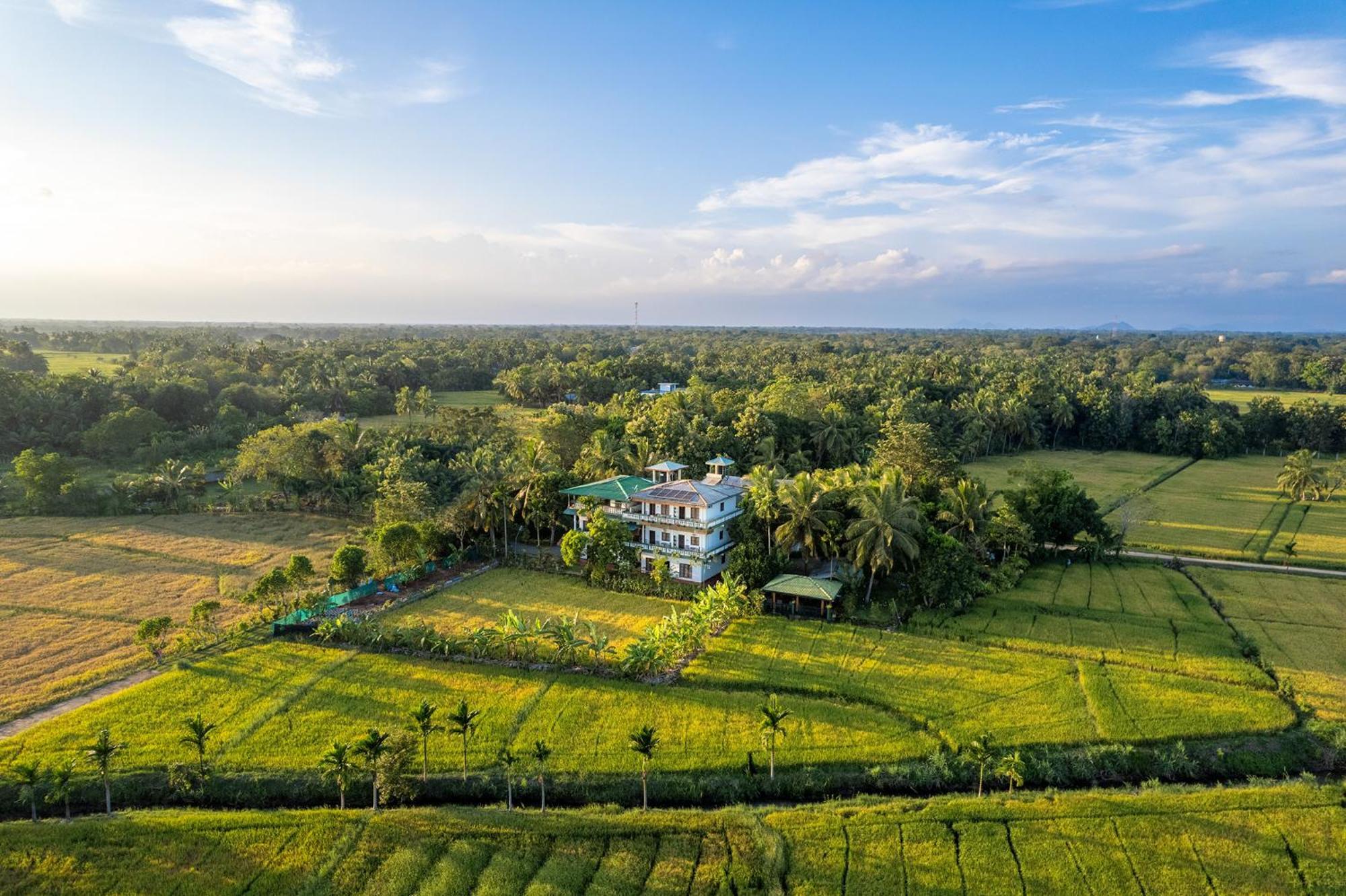 Mailagama Cinnamon Residence Kataragama Bagian luar foto
