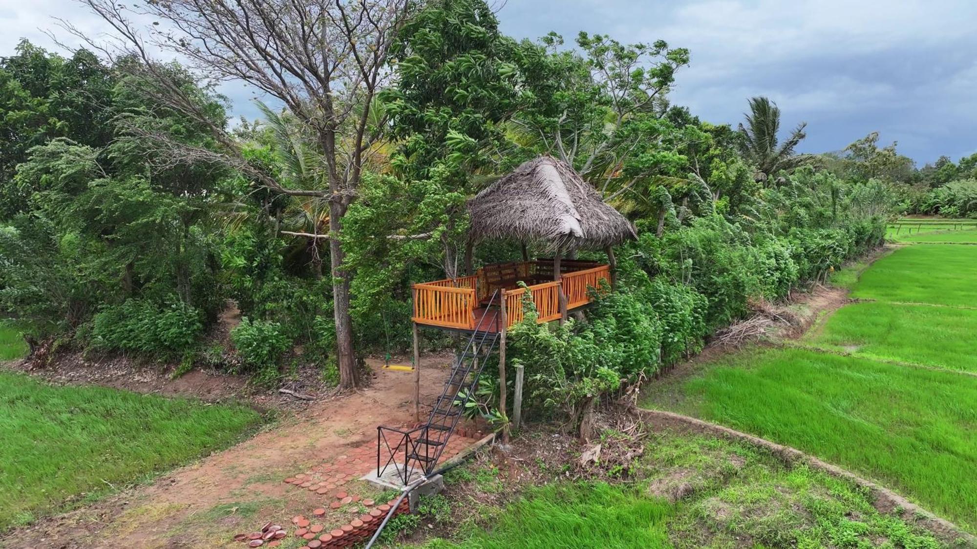 Mailagama Cinnamon Residence Kataragama Bagian luar foto